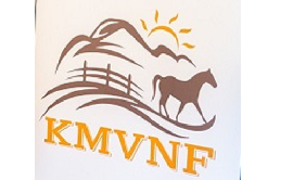 A Kárpát-medencei Magyar Vállalkozói Szövetségek Nemzeti Fórumának  (KMVNF) rendezvénye
